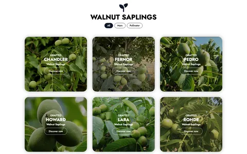 Walnut Sapling Turkey
