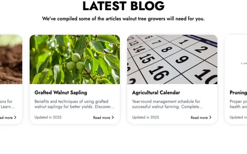 Walnut Sapling Turkey